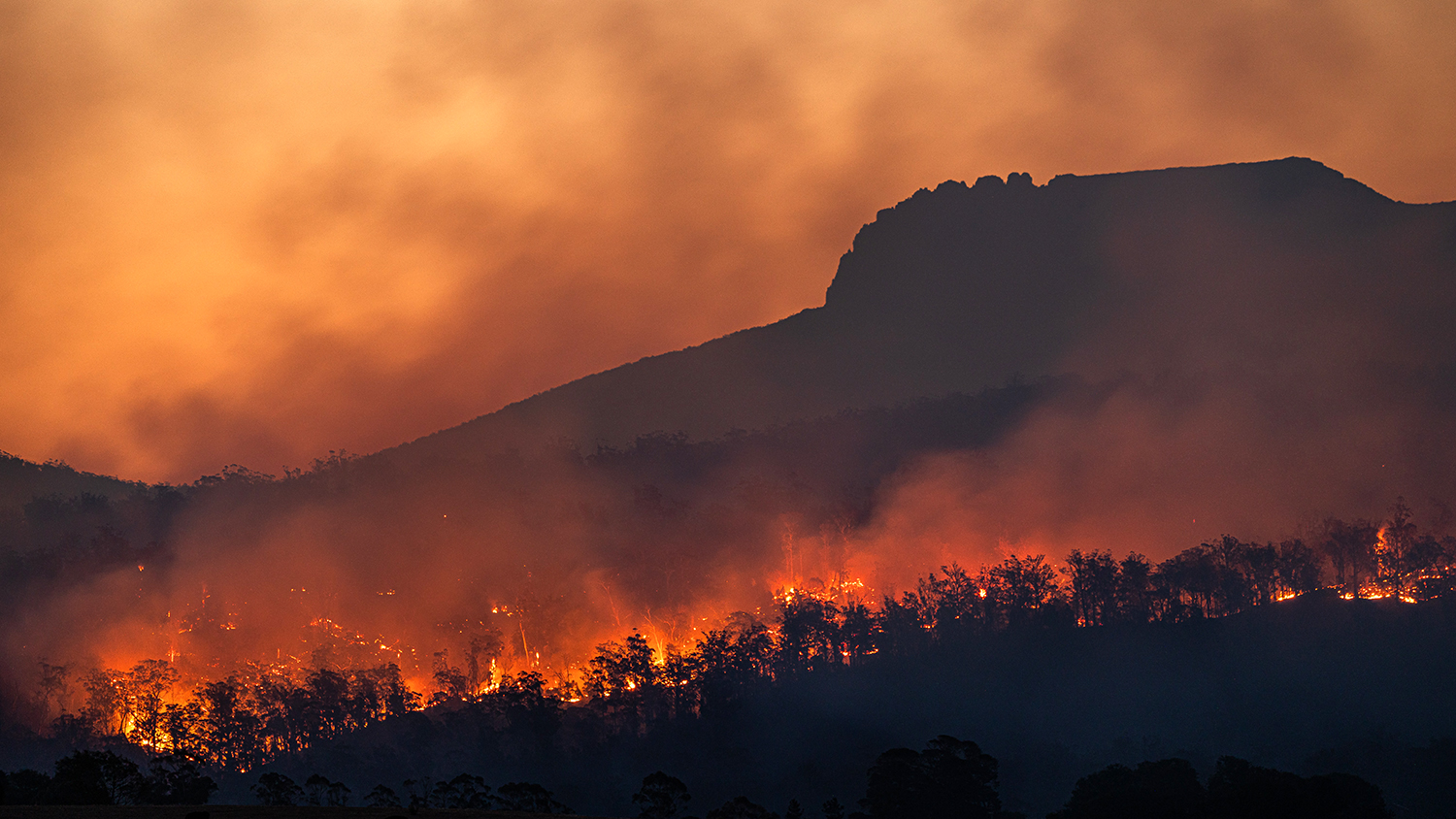 Bushfire in Tasmania, Australia